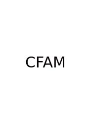 Corporate Finance Advisory Meaning
