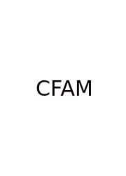 Corporate Finance Advisory Meaning