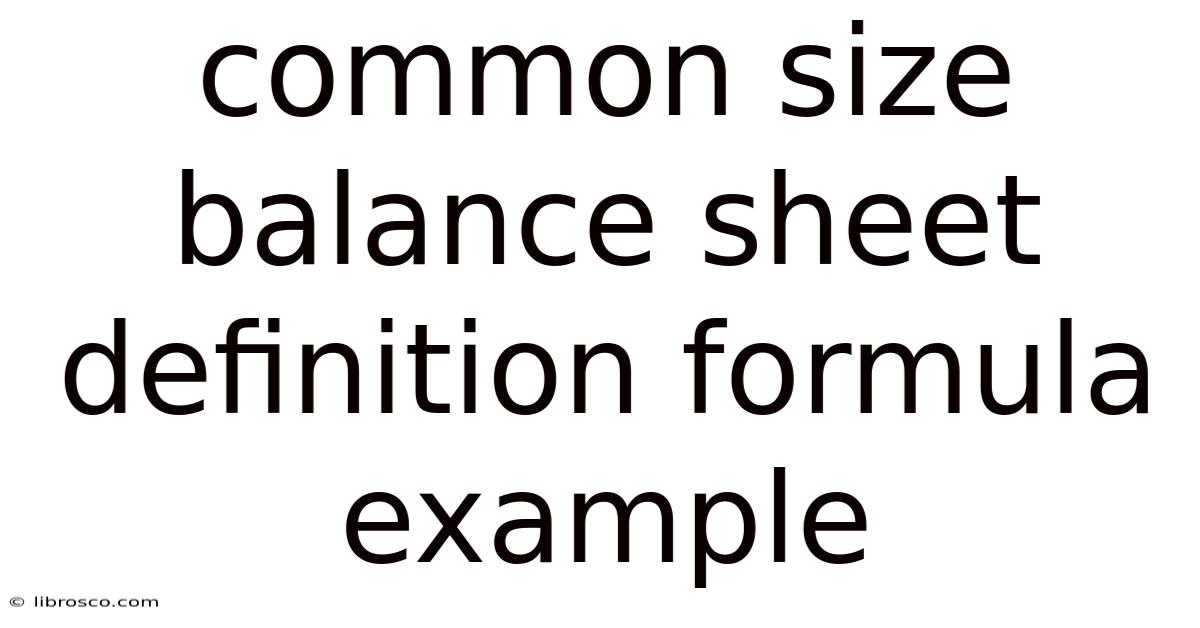 Common Size Balance Sheet Definition Formula Example Common Size Balance Sheet Definition Formula Example