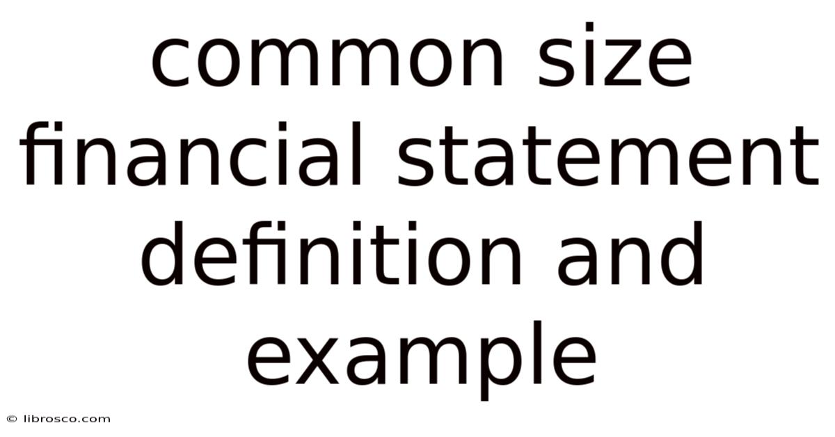 Common Size Financial Statement Definition And Example Common Size Financial Statement Definition And Example