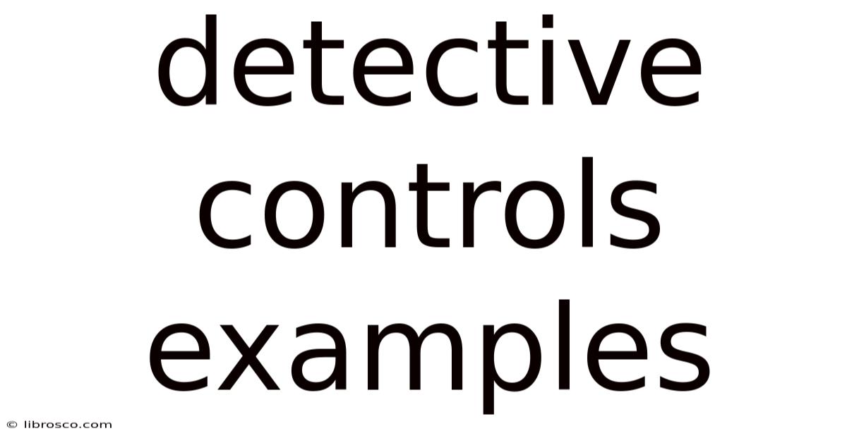 Detective Controls Examples Detective Controls Examples