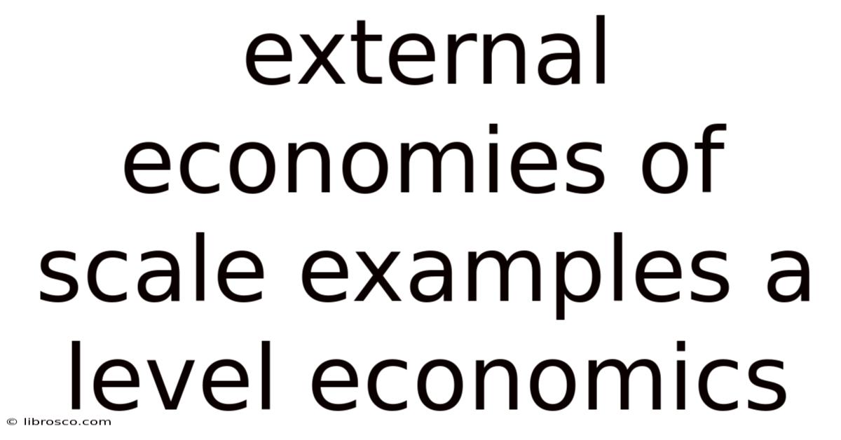 External Economies Of Scale Examples A Level Economics