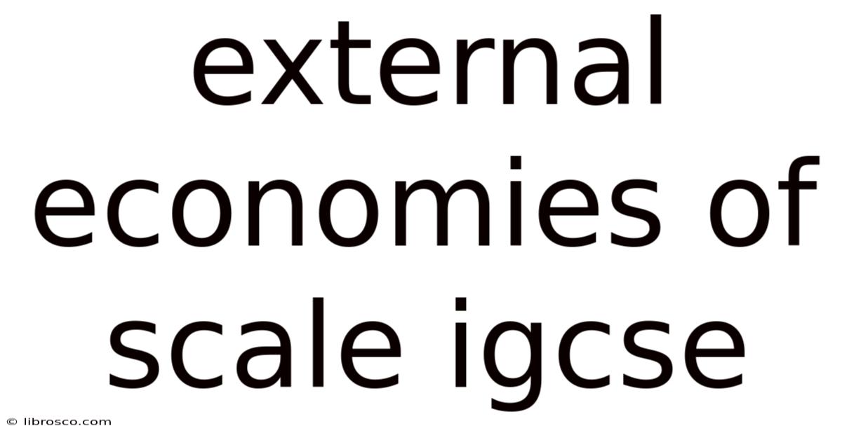 External Economies Of Scale Igcse