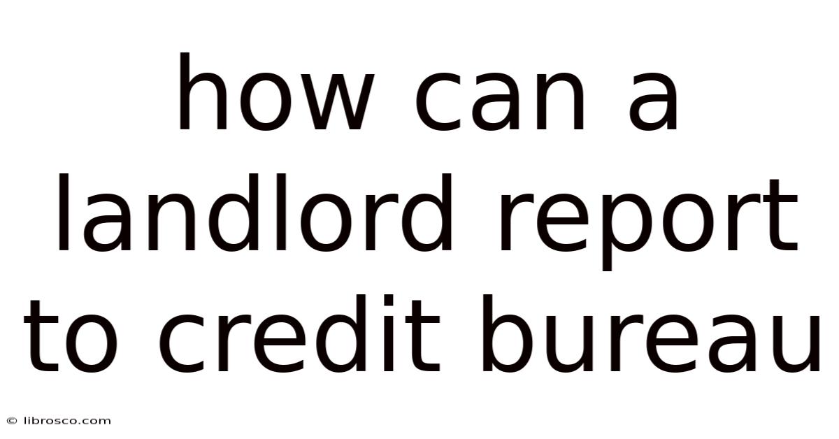 How Can A Landlord Report To Credit Bureau How Can A Landlord Report To Credit Bureau