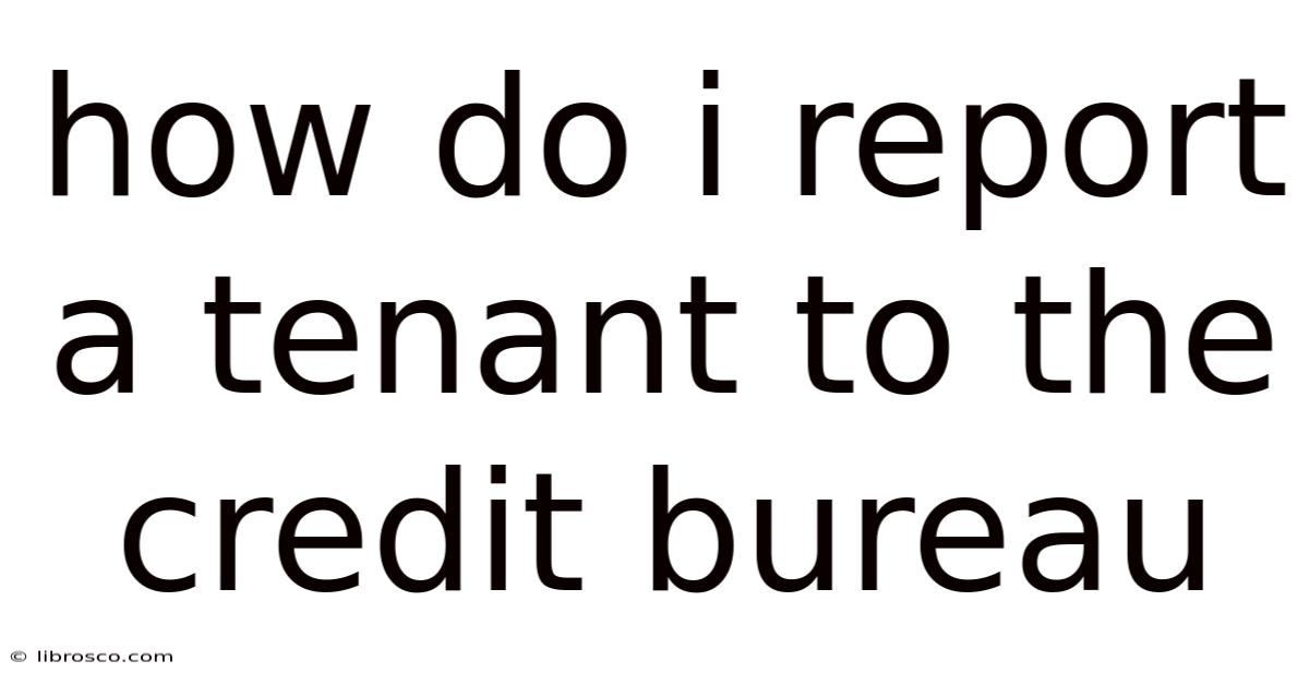How Do I Report A Tenant To The Credit Bureau How Do I Report A Tenant To The Credit Bureau