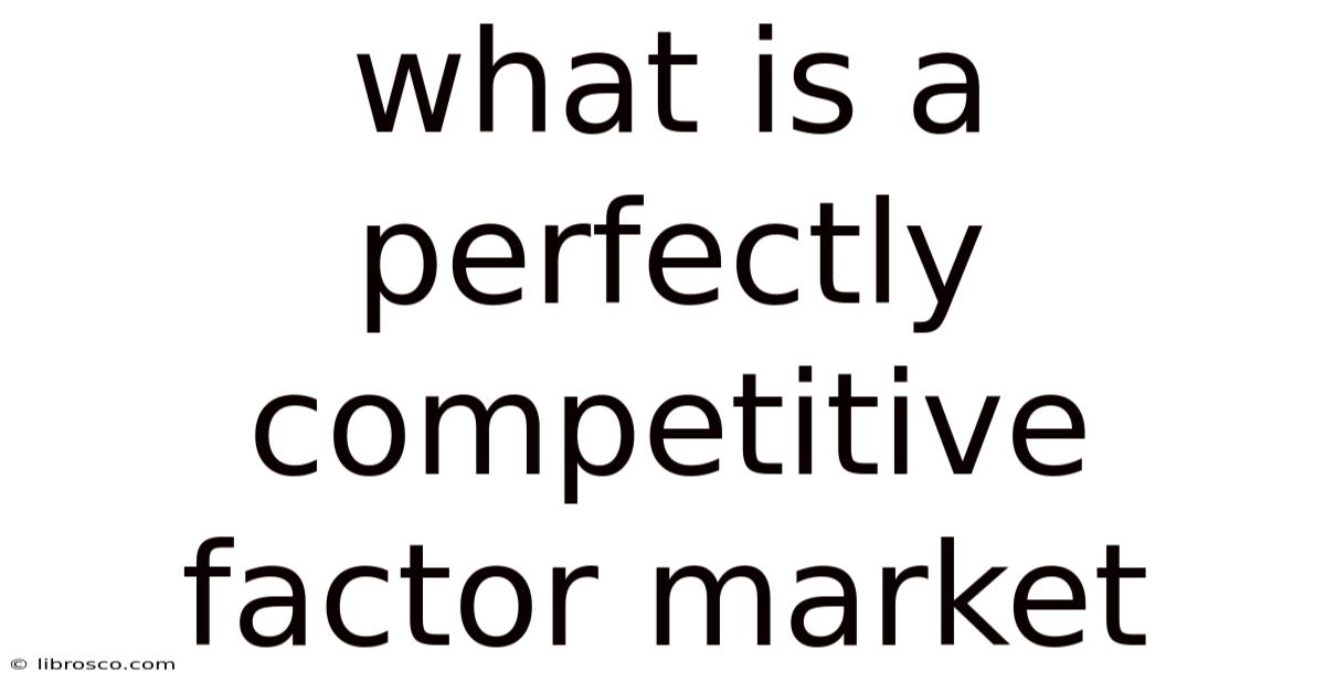 What Is A Perfectly Competitive Factor Market What Is A Perfectly Competitive Factor Market