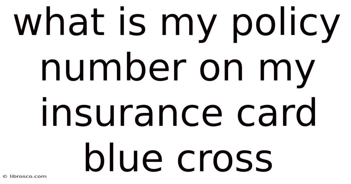 What Is My Policy Number On My Insurance Card Blue Cross What Is My Policy Number On My Insurance Card Blue Cross