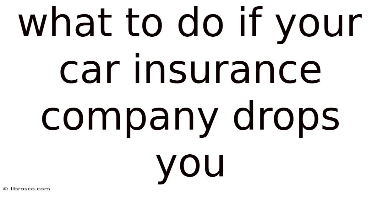 What To Do If Your Car Insurance Company Drops You What To Do If Your Car Insurance Company Drops You